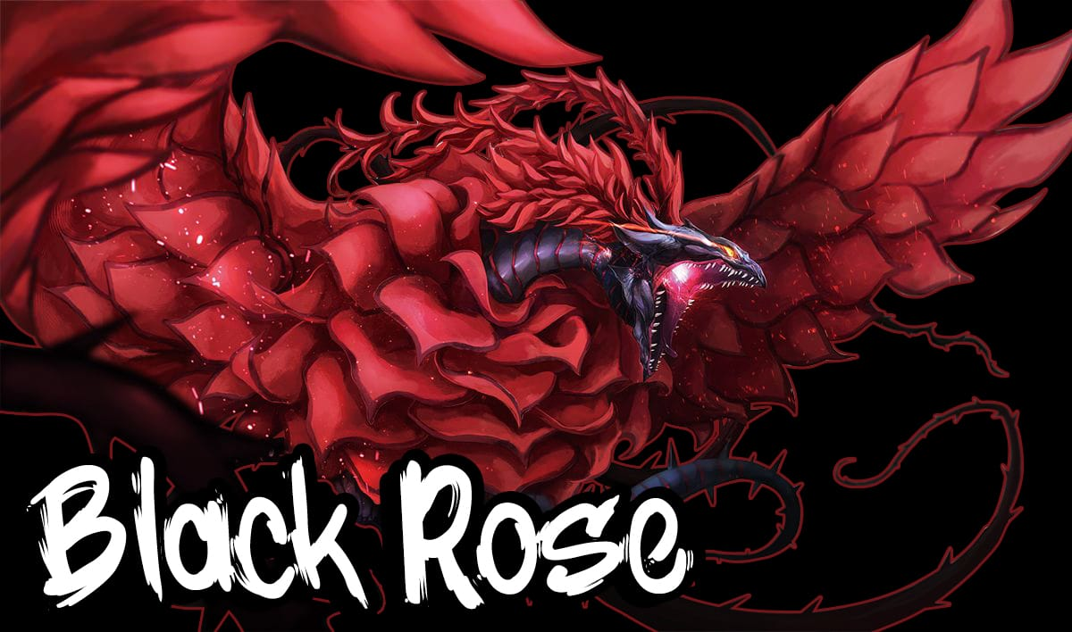 Blackrose